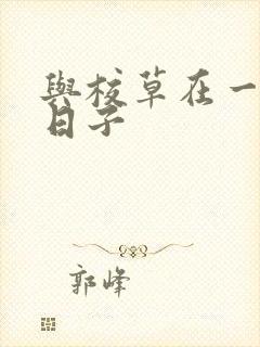 书籍封面