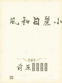 风和日丽小说