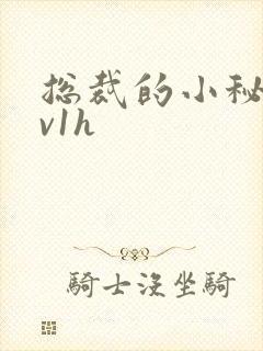 总裁的小秘书1v1h