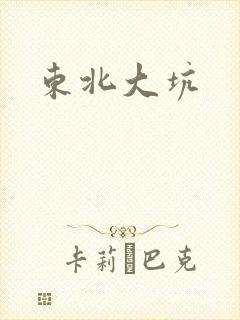 东北大坑封面