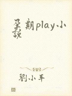 孕期play小说
