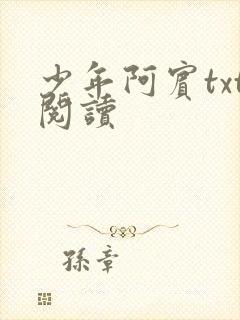 少年阿宾txt阅读