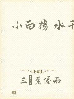 小白杨 水千丞