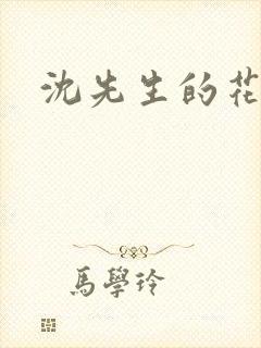 沈先生的花式调封面