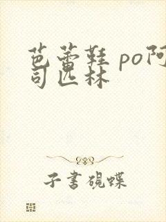 芭蕾鞋 po阿司匹林