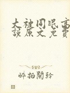 大被同眠高粱小说原文免费阅读封面