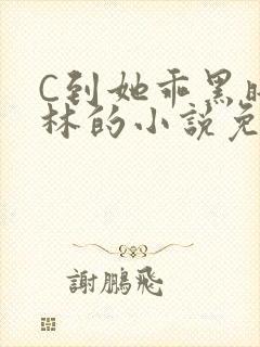 C到她乖黑暗森林的小说免费
