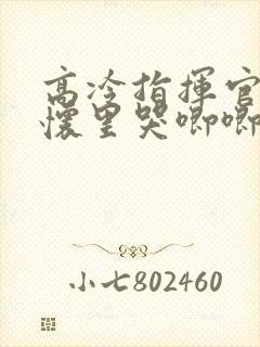 高冷指挥官在我怀里哭唧唧第二季