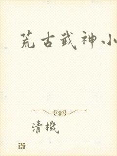 荒古武神小说