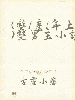 (双/产/年上)双男主小说