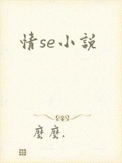 情se小说