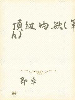 顶级肉欲(军高h)