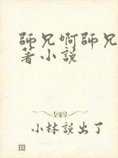 师兄啊师兄的原著小说