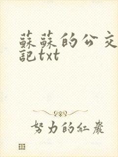 苏苏的公交车日记txt