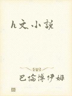 h文小说