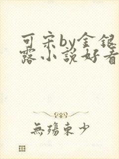 可宋by金银花露小说好看吗