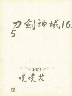 刀剑神域16.5