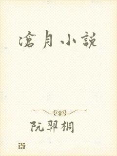 沧月小说封面