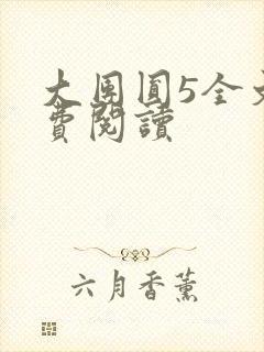 大团圆5全文免费阅读封面
