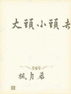 大头小头去旅行封面