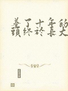 养了十年的小丫头终于长大了