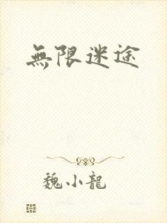 无限迷途封面