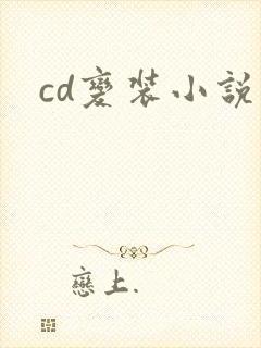 cd变装小说