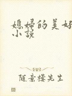 媳妇的美好时代小说