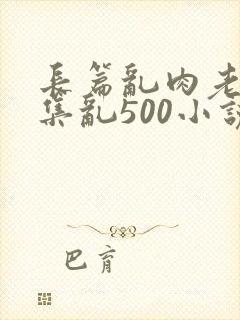 长篇乱肉老师合集乱500小说