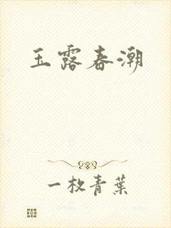 玉露春潮封面