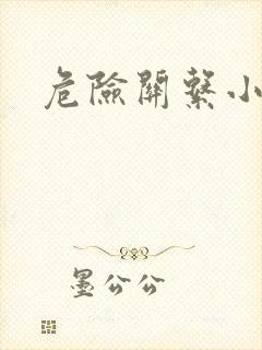 危险关系小说