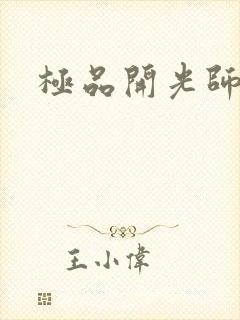 极品开光师封面