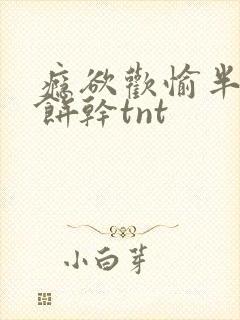 瘾欲欢愉半块小饼干tnt