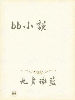 bb小说