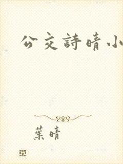 公交诗晴小说