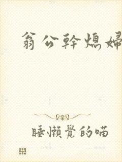 翁公干熄妇