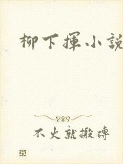 柳下挥小说封面