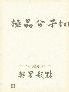 极品公子txt