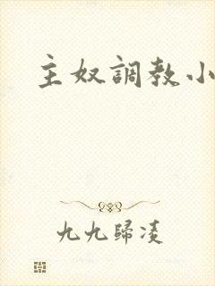 主奴调教小说封面
