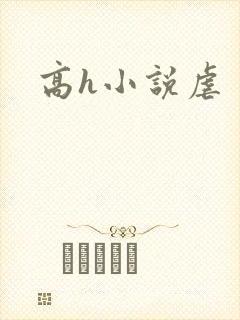 高h小说虐