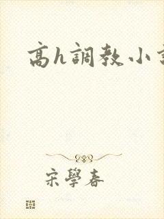 高h调教小说