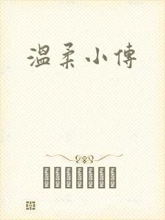 温柔小传封面