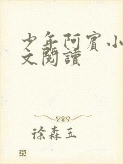 少年阿宾小说全文阅读