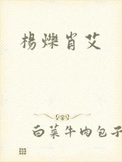 杨烁肖艾