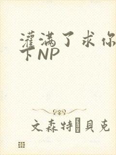 灌满了求你们停下NP