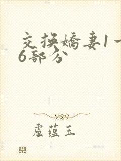 交换娇妻1一36部分