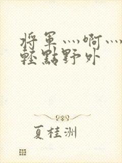 将军灬啊灬啊灬轻点野外