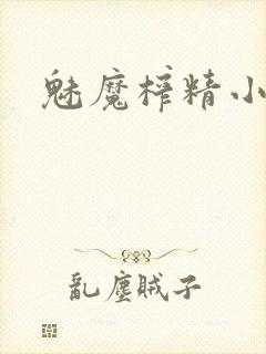 魅魔榨精小说