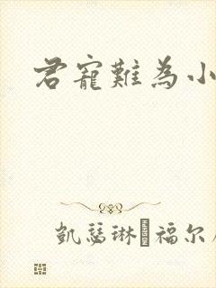 君宠难为小说封面