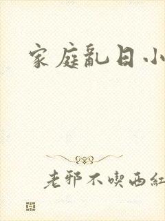 家庭乱日小说